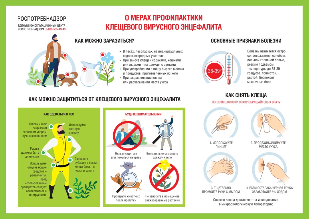 О мерах профилактики клещевого вирусного энцефалита.