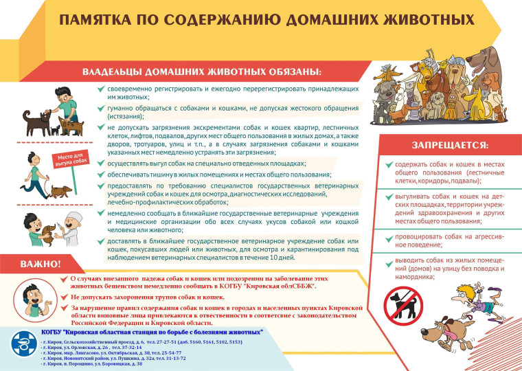 Памятки о выгуле собак. Памятки о выгуле собак.